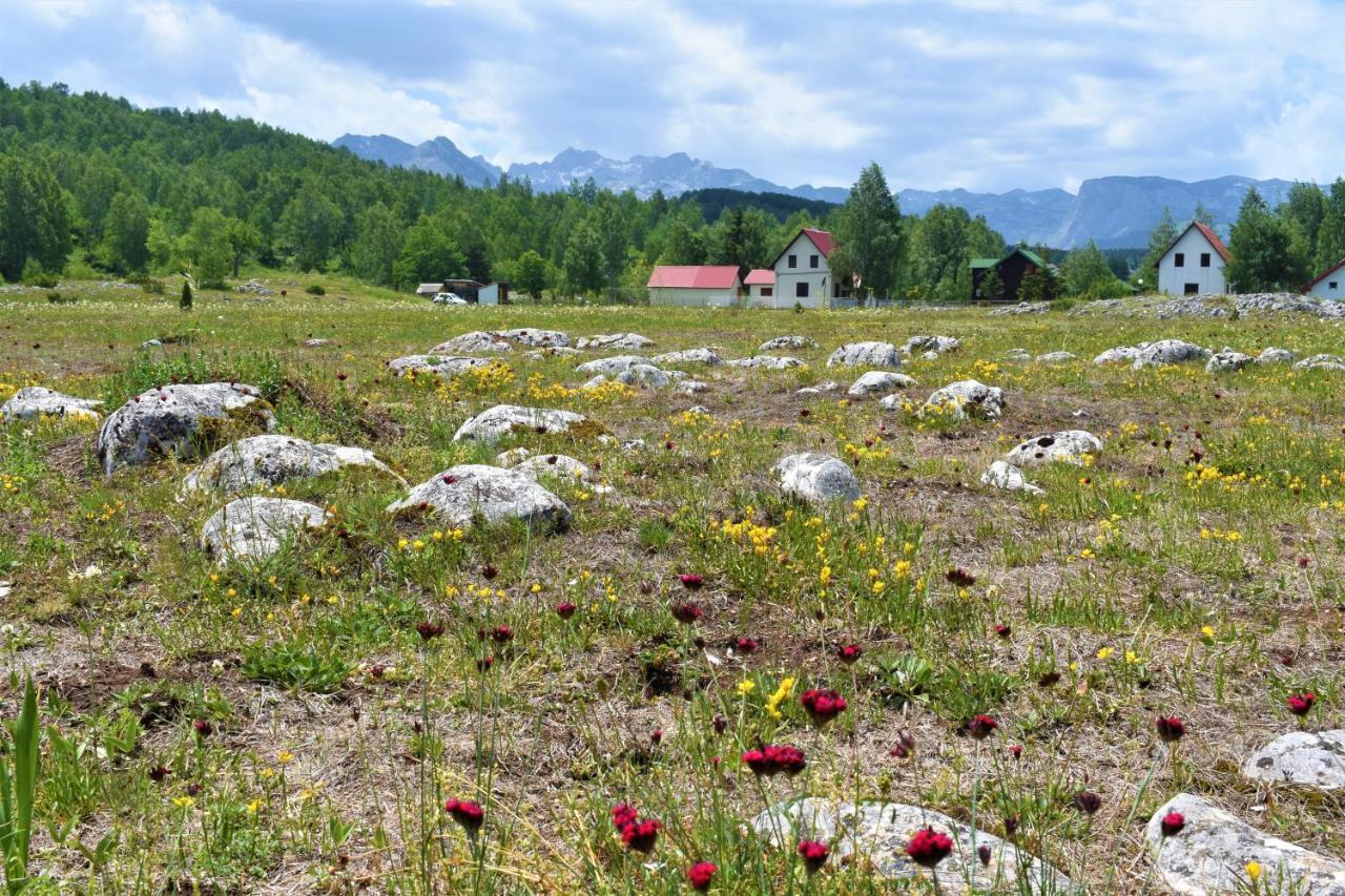 Pajo Apartments Žabljak Esterno foto